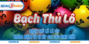 Bạch thủ lô là gì