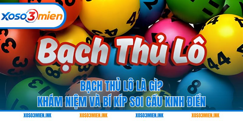 Bạch thủ lô là gì