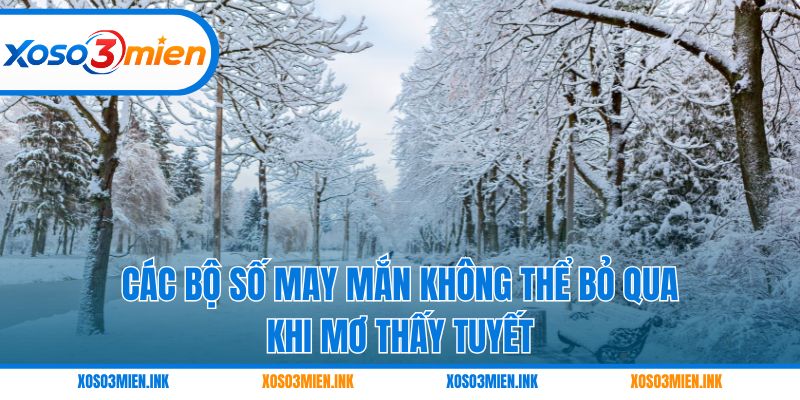 Các bộ số may mắn không thể bỏ qua khi mơ thấy tuyết