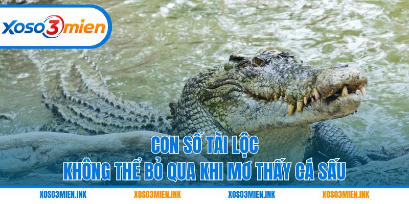 Con số tài lộc không thể bỏ qua khi mơ thấy cá sấu