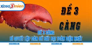 Đề 3 càng
