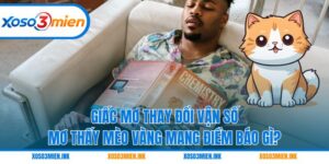 Mơ thấy mèo vàng
