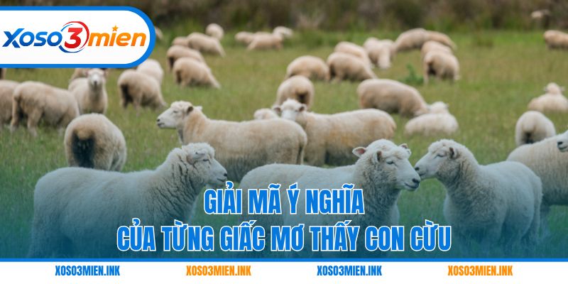 Giải mã ý nghĩa của từng giấc mơ thấy con cừu
