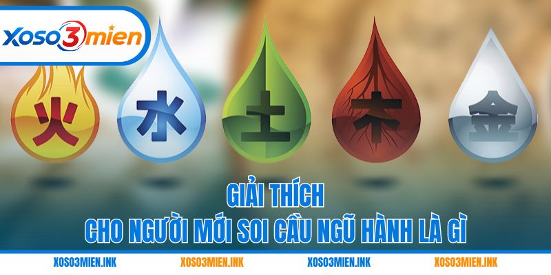 Giải thích cho người mới soi cầu ngũ hành là gì