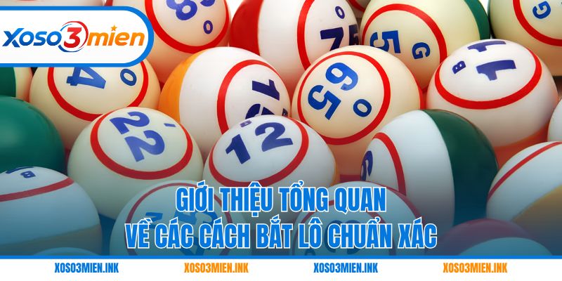 Giới thiệu tổng quan về các cách bắt lô chuẩn xác