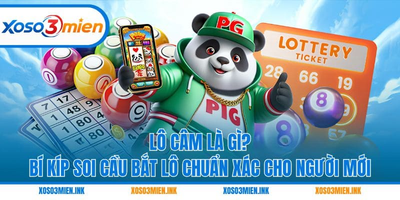 Lô câm là gì
