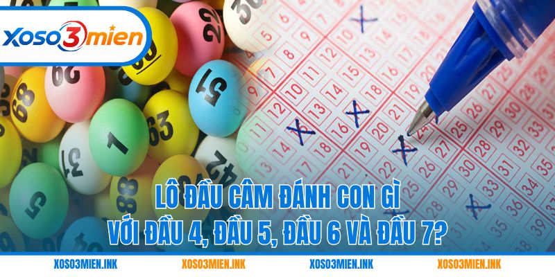 Lô đầu câm đánh con gì với đầu 4, đầu 5, đầu 6 và đầu 7?