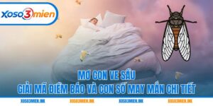 Mơ con ve sầu