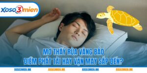 Mơ thấy rùa vàng