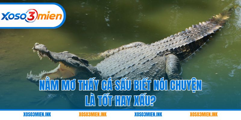 Nằm mơ thấy cá sấu biết nói chuyện là tốt hay xấu?