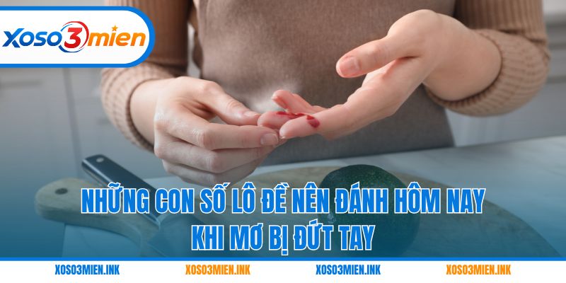 Những con số lô đề nên đánh hôm nay khi mơ bị đứt tay