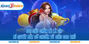 Soi cầu chẵn lẻ là gì
