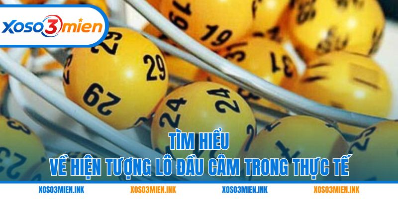 Tìm hiểu về hiện tượng lô đầu câm trong thực tế