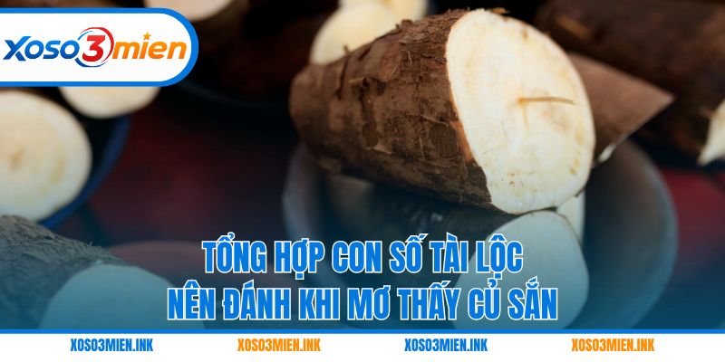 Tổng hợp con số tài lộc nên đánh khi mơ thấy củ sắn