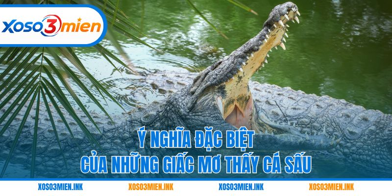 Ý nghĩa đặc biệt của những giấc mơ thấy cá sấu