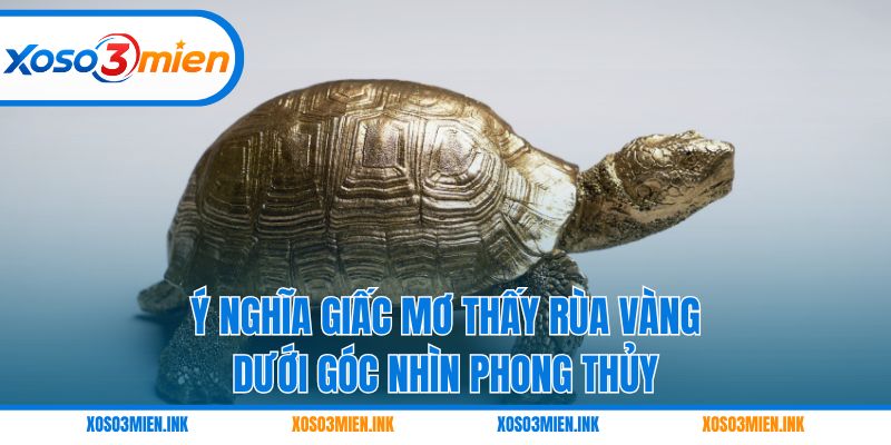 Ý nghĩa giấc mơ thấy rùa vàng dưới góc nhìn phong thủy